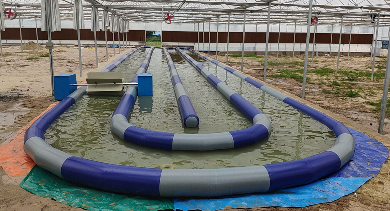 充氣移動式水槽藻類培育養殖1