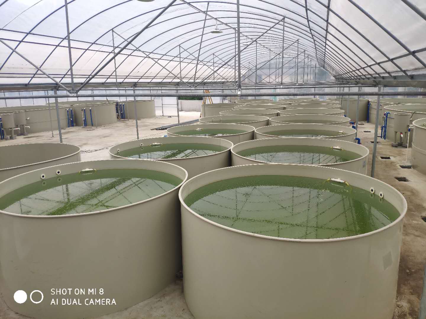 魚卵孵化養殖池