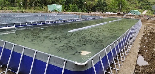 貴州遵義移動式支架跑道池進(jìn)行高密度養(yǎng)魚