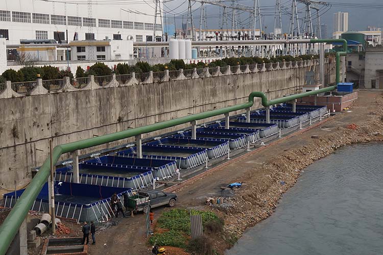 湖南郴州支架跑道式流水槽養殖項目