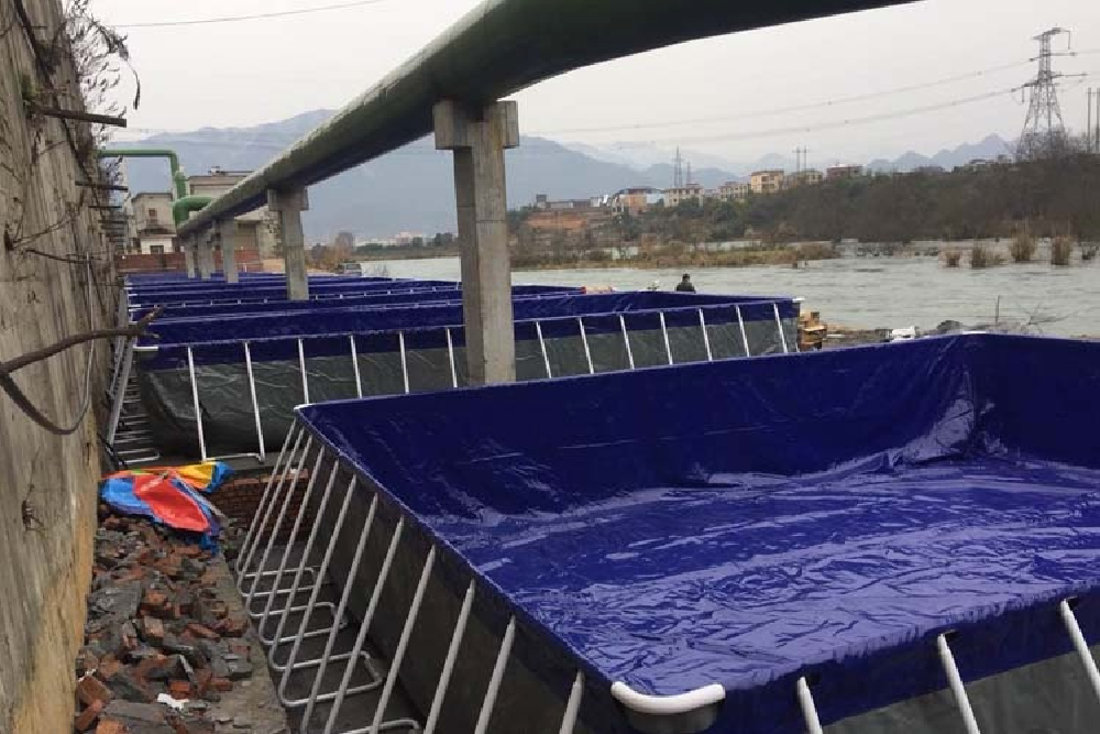 支架跑道式流水槽養殖