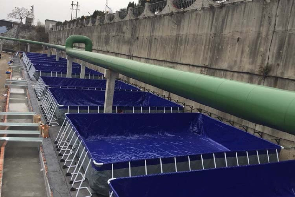 循環水養殖水槽