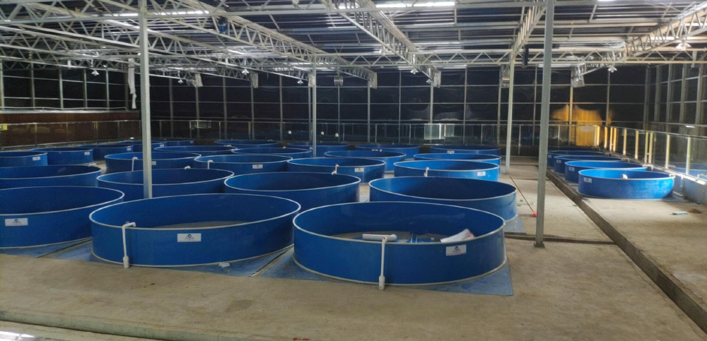 小型工廠化水產養殖系統一角