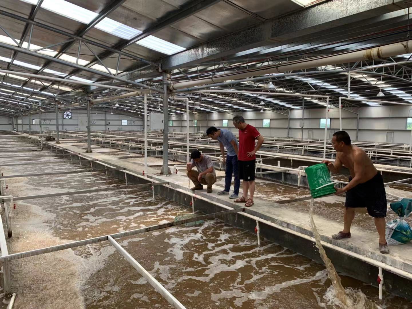 工廠化循環水養殖系統