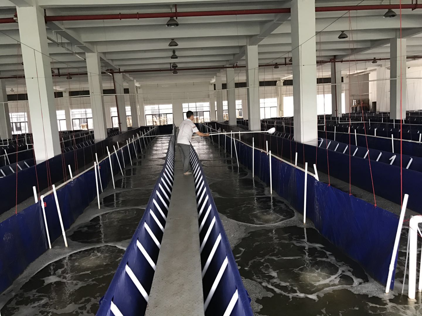 工廠化循環水養殖設備助對蝦冬季脫殼